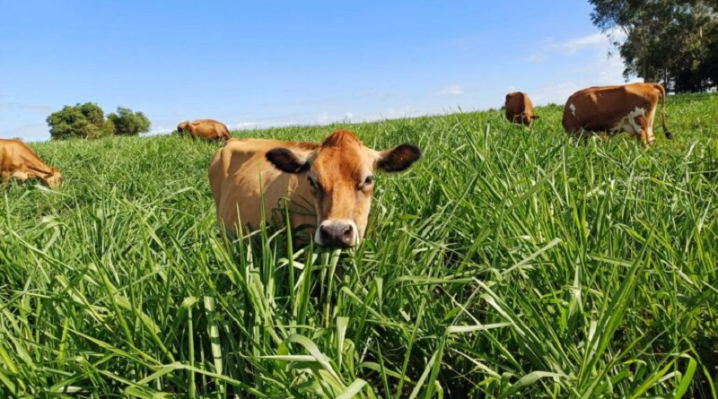 Governo do Estado firma parceria para impulsionar agricultura sustentável no Rio de Janeiro