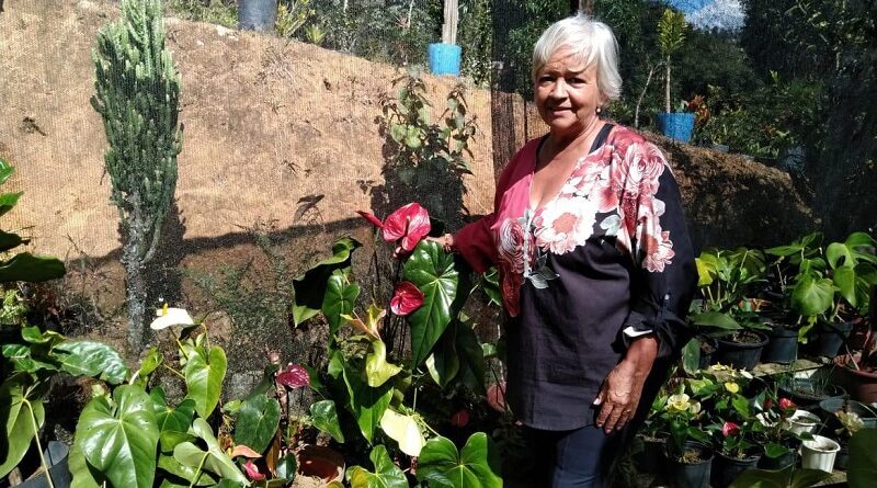 Dia das Mães: Governo do Rio impulsiona floricultura com programa de incentivo