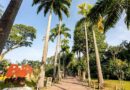 Governo do Estado confirma casos de Influenza Aviária em galinhas-d’Angola do BioParque do Rio