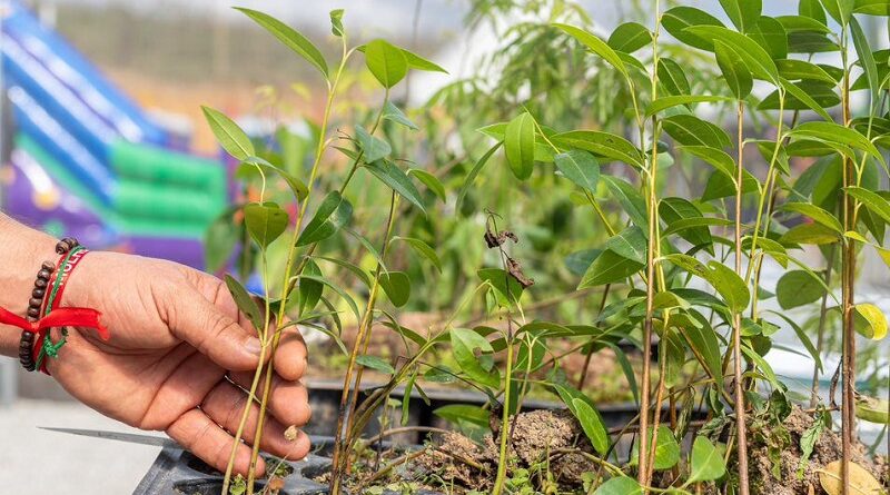 Governo do Estado promove segunda edição do projeto Agricultura Social, em Areal
