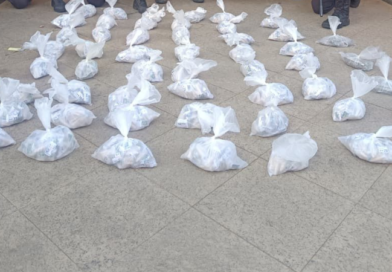 PM desenterra grande quantidade de drogas em Pádua