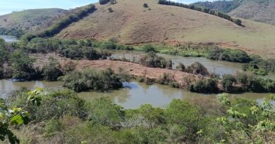 Polícia Ambiental descobre desmatamento em Pádua