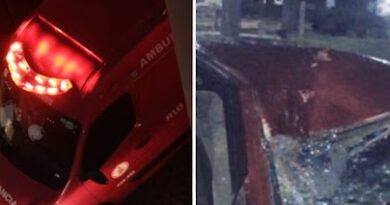 Cavalo solto na pista provoca grave acidente em Bom Jesus do Itabapoana