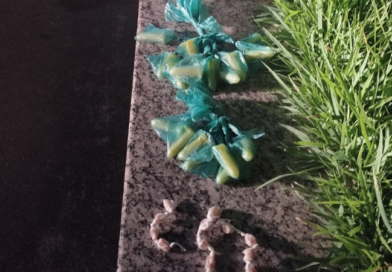 Drogas escondidas em casa abandonada são apreendidas em Italva