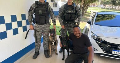 Atuação de cães farejadores é determinante na localização de corpo em Itaperuna